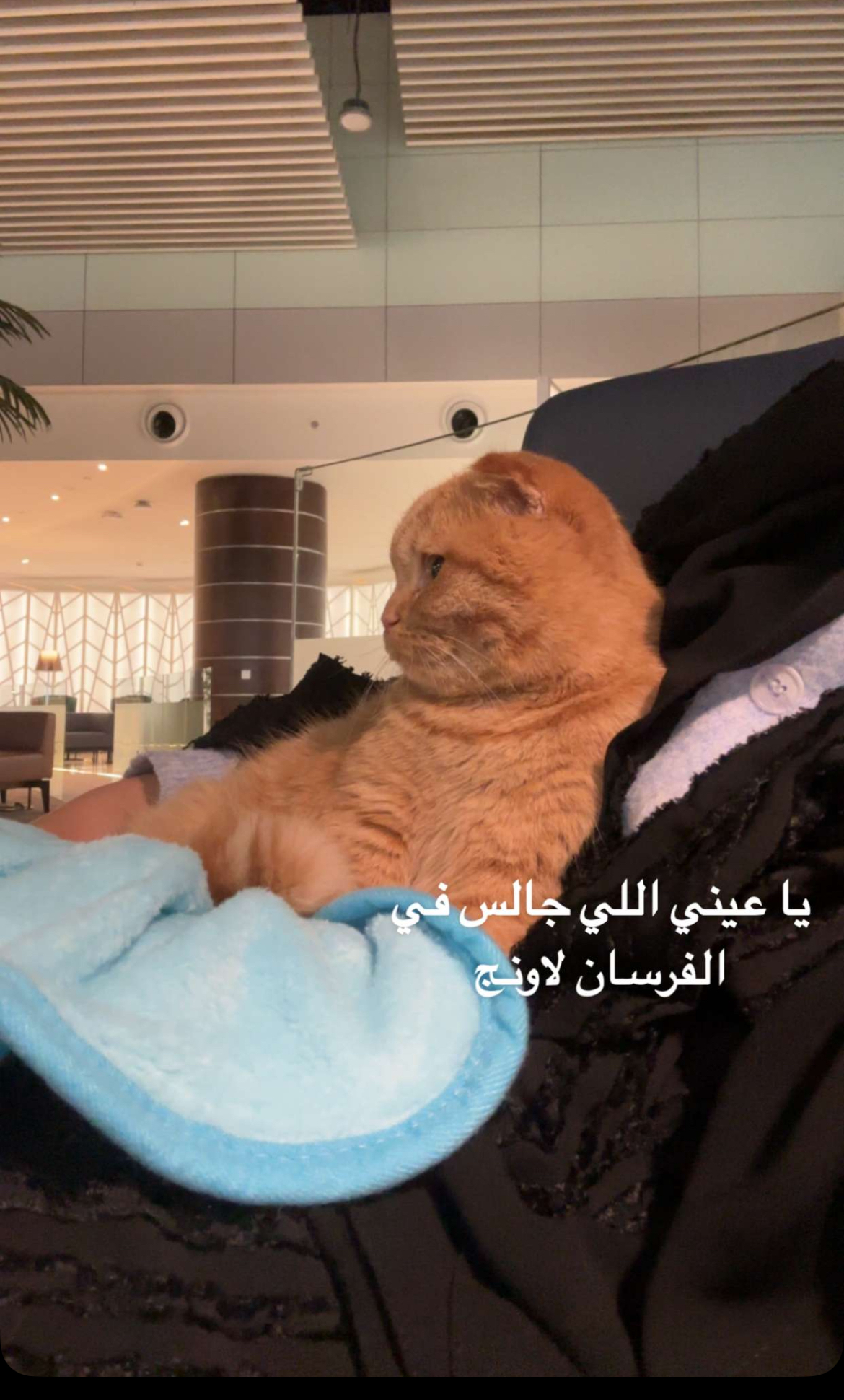 nouf، صانع محتوى في جدة